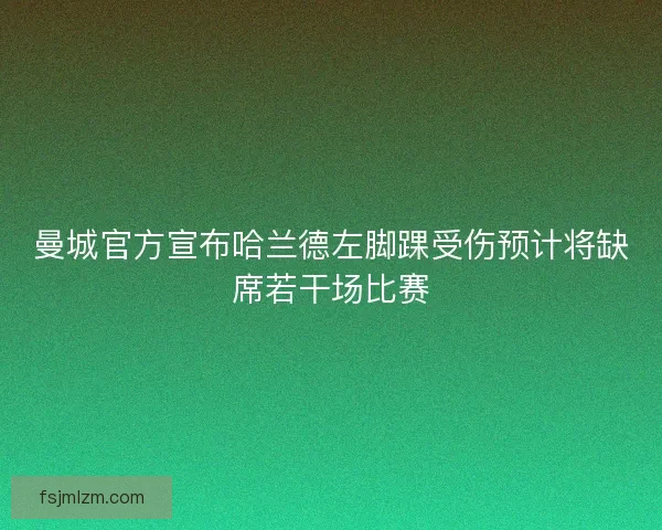 曼城官方宣布哈兰德左脚踝受伤预计将缺席若干场比赛 曼城官方宣布哈兰德左脚踝受伤预计将缺席若干场比赛