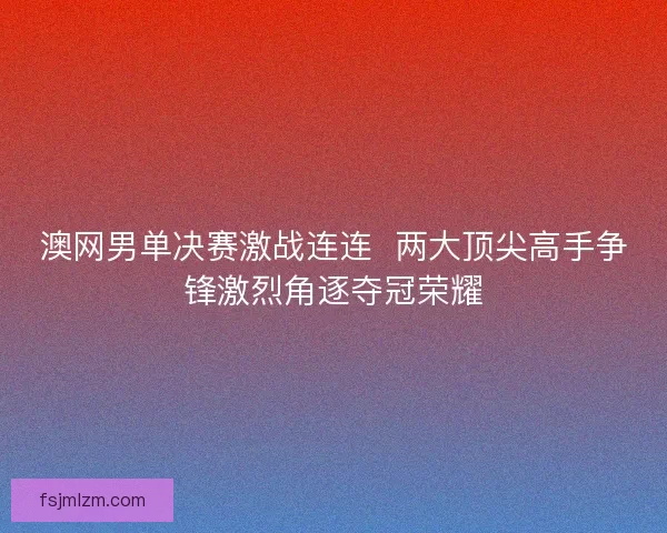 澳网男单决赛激战连连 两大顶尖高手争锋激烈角逐夺冠荣耀 澳网男单决赛激战连连 两大顶尖高手争锋激烈角逐夺冠荣耀