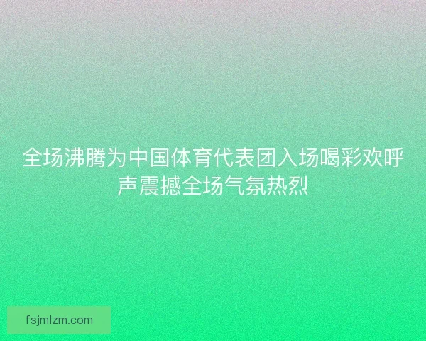 全场沸腾为中国体育代表团入场喝彩欢呼声震撼全场气氛热烈 全场沸腾为中国体育代表团入场喝彩欢呼声震撼全场气氛热烈